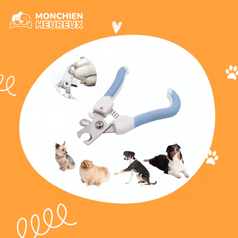 Coupe-Griffes Animaux