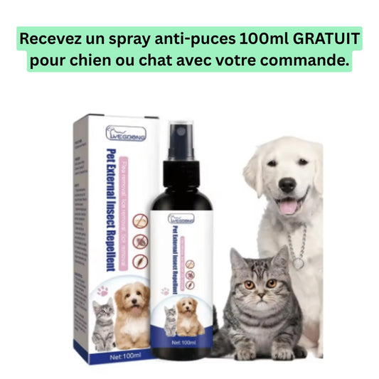Spray Anti-Puces